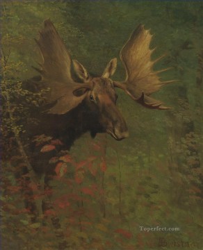 ESTUDIO DE UN ALCE animal americano de Albert Bierstadt Pinturas al óleo